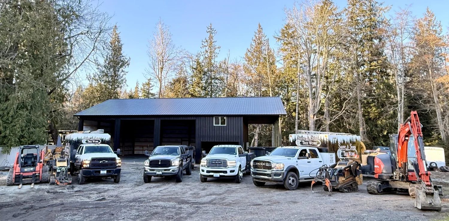 The Sauve & Sons Tree Work truck and equipment fleet at the shop